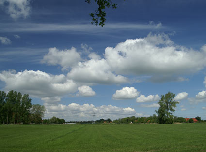 Wohngemeinschaft sarver strasse3