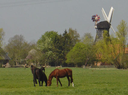 Wohngruppe butjadinger strasse2